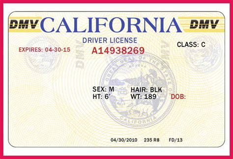 blank id template drivers license